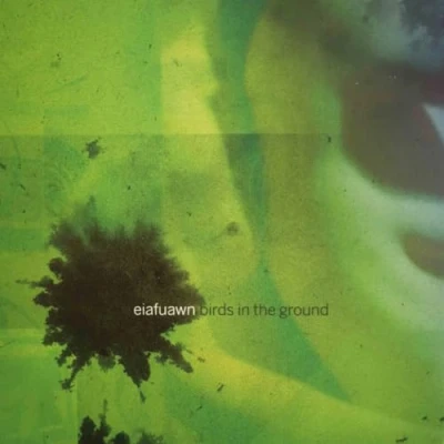 Imagen de Birds In The Ground [Vinilo]