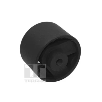 Imagen de TEDGUM TED69999 Soporte de motor Delante, derecha MAZDA: Demio Wagon