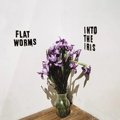 Imagen de Into The Iris [Vinilo]