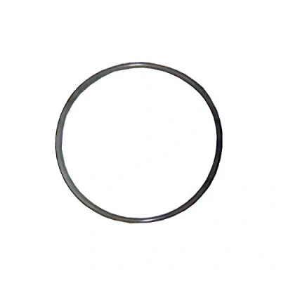 Imagen de Astralpool JUNTA TORICA 255X4 marca
