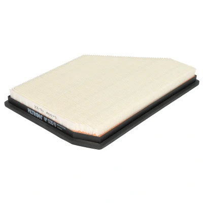 Imagen de FILTRON AP 030/8 Filtro de aire 36mm 198mm 288mm Cartucho filtrante BMW: X5, X7