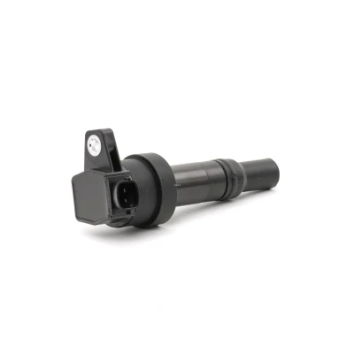 Imagen de BERU ZS476 Bobina de encendido 12 Spring