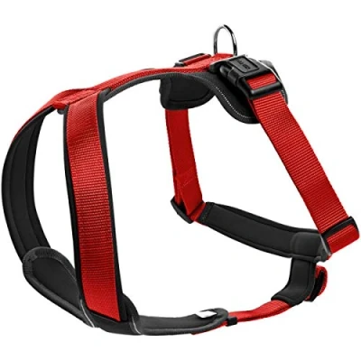 Imagen de Curli Basic Correa de Nylon para Perro