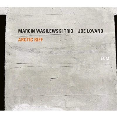 Imagen de Arctic Riff