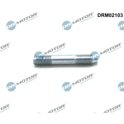 Imagen de DR.MOTOR AUTOMOTIVE DRM02103 Tornillo, colector admisión BMW: 3 Berlina, 5 Coupé