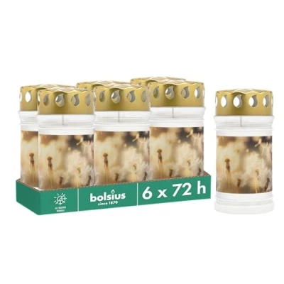 Imagen de Bolsius Luz para tumba con diseño diente de león Juego 6 unidades Duración combustión 3 días Vela luto y memorial velas Quema limpia Sin aceite palma