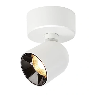 Imagen de Budbuddy 12W Lámpara de Techo LED Con 1 Focos Orientables Para Moderno Pared Regulable Superficie Spot Blanca Interior Pasillo Salón Tiendas etc,3000K