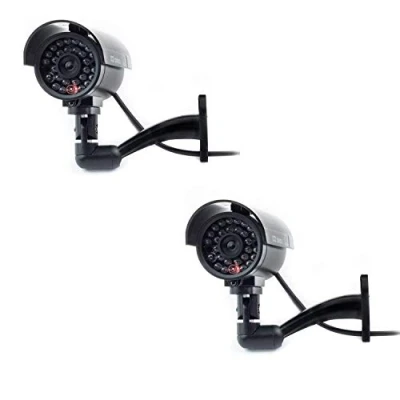 Imagen de Cámara Seguridad Falsa Interior Exterior Calidad CCTV de Vigilancia con Intermitente Luz LED Noche x 2