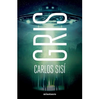 Imagen de Gris (Biblioteca Carlos Sisí)