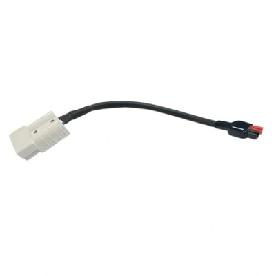 Imagen de Offgridtec Cable adaptador de 20 cm Anderson a Goal Zero Yeti para módulos FSP