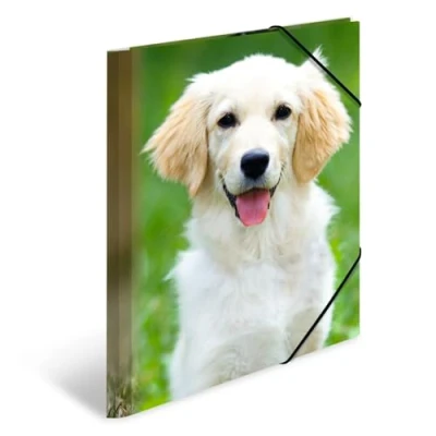 Imagen de HERMA 7138 carpeta de dibujo Animales con motivo Canino, A4, plástico resistente, impresión interior, 1 palmo