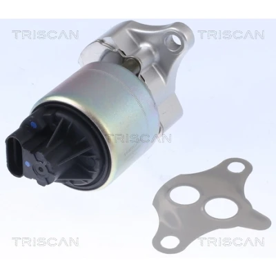 Imagen de TRISCAN 8813 21001 Válvula EGR eléctrico con juntas CHEVROLET: Matiz, Aveo / Kalos Hatchback