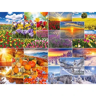 Imagen de Edition Colibri Juego de 20 tarjetas postales naturaleza «Las cuatro estaciones» (20 diseños diferentes) con primavera, verano, otoño e invierno