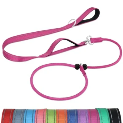Imagen de Joytale Correa Retriever de Entrenamiento, Doble Asa Acolchada, Collar Antideslizante, Reflectante para Perros Pequeños y Medianos, 1,8 M, Rosa Caliente