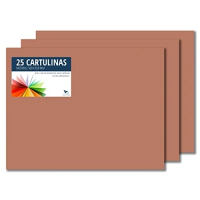 Imagen de Raylu Paper® Cartulinas 50x65cm, 25 Unidades, 180g/m². 50 x 65 cm de colores ideales para manualidades, oficina, dibujo, papiroflexia (Marrón)