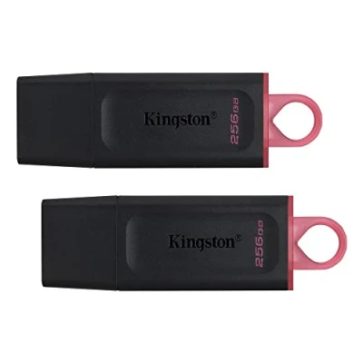 Imagen de Kingston DataTraveler Exodia 256GB USB 3.2 Flash Drive DTX/256GB 2 Pack