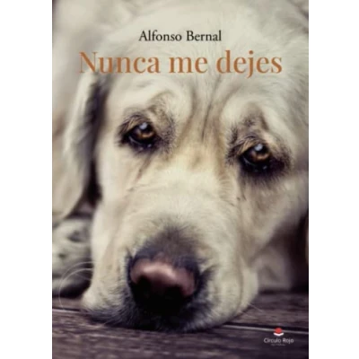 Imagen de Nunca me dejes (SIN COLECCION)