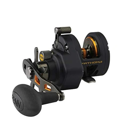 Imagen de PENN Fathom II Star Drag Carrete de Pesca Convencional, Color Negro y Dorado