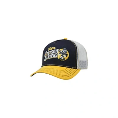 Imagen de Stetson Gorra New American Heritage Trucker Hombre Camionero de béisbol Malla con Visera, Snapback, Visera Invierno Otoño Verano Primavera Verano/Invierno Talla única Small Gris