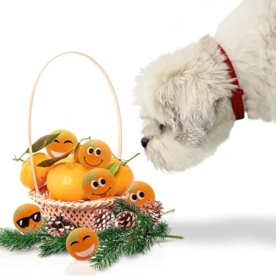 Imagen de SPORTSPET High Bounce Pelotas de goma natural para perros (mandarinas alto rebote DIMPLE, paquete 6 perfumadas) (61 mm)