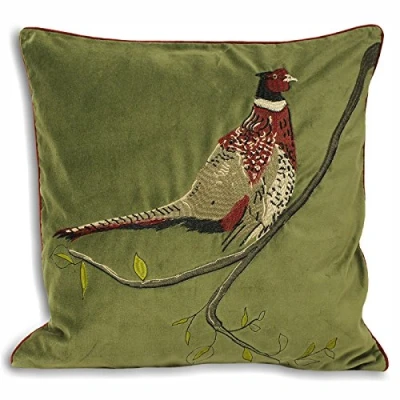 Imagen de Paoletti Riva Inicio Hunter Velvet Cojín, Verde, 45 X Cm, 45x45cm