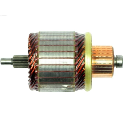 Imagen de AS PL SA2019 Inducido, motor de arranque