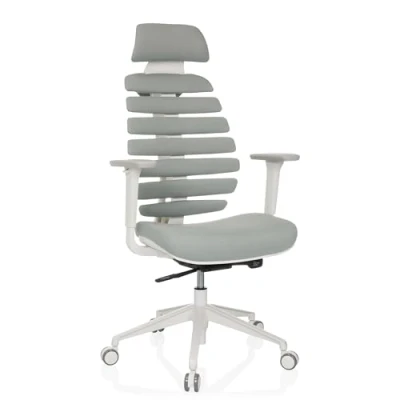 Imagen de hjh OFFICE Silla de Oficina Profesional giratoria Ergo Line W con Respaldo ergonómico Incl. Soporte Lumbar, Gris Claro