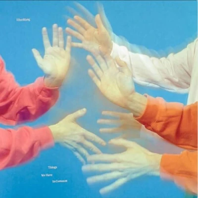 Imagen de THINGS WE HAVE IN COMMON [Vinilo]