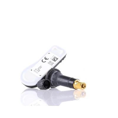 Imagen de SCHRADER 3041 Sensor de ruedas, con tornillo RENAULT: Clio 4, Captur, Kangoo II Express, DACIA: Lodgy, SANDERO 2, LOGAN MERCEDES BENZ: Citan Furgón