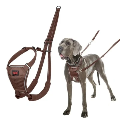 Imagen de Arnés anti tirones HALTI para evitar que tu perro tire de la correa, Ajustable, Ligero y Fácil Usar. Reflexiva Adiestramiento canino perros grandes (Talla L, Nogal Intenso)