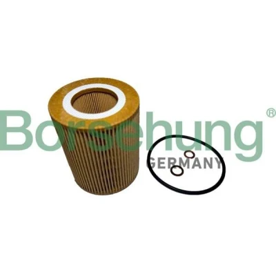 Imagen de Borsehung B12457 Filtro de aceite Cartucho filtrante BMW: 3 Sedán, 5 Coupé