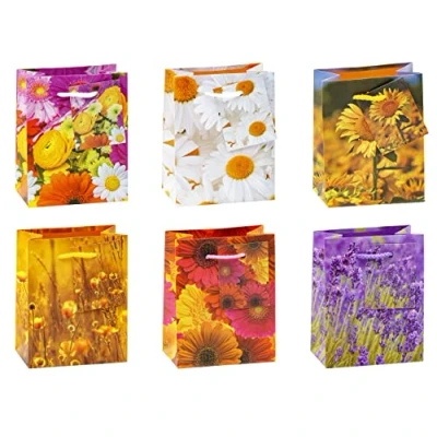 Imagen de TSI 84023 Bolsas de regalo (tamaño pequeño, 6 modelos surtidos), diseño floral