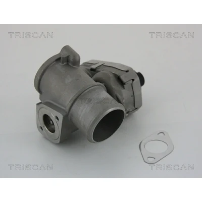 Imagen de TRISCAN 8813 16101 Válvula EGR eléctrico con juntas FORD: MONDEO 3, 3 Stufenheck, JAGUAR: X Type Berlina, Familiar