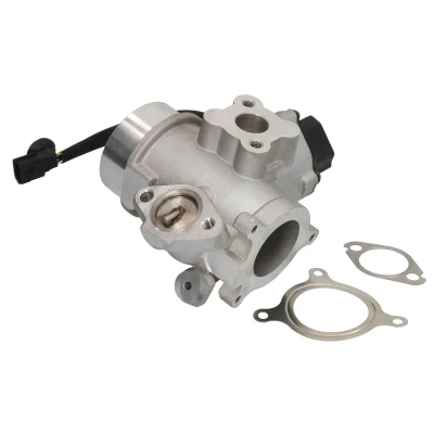 Imagen de WAHLER 710982D/1 Válvula EGR eléctrico con junta OPEL: Vivaro A Combi, Furgón, Movano RENAULT: TRAFIC 2 Kasten
