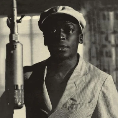 Imagen de The Musings Of Miles [Vinilo]