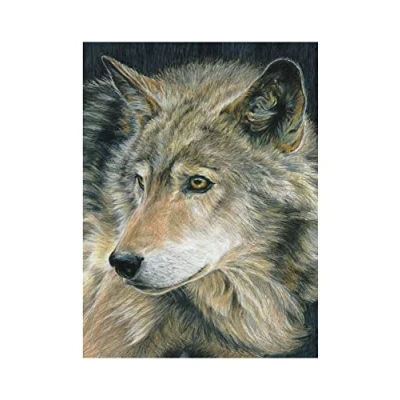 Imagen de Pracht Hobby Royal &amp; Langnickel Pintura por números Lobo, Incl. lápices de Colores y sacapuntas, para Adultos niños a Partir 8 años