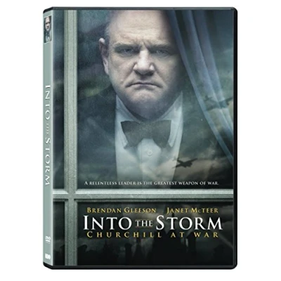 Imagen de Into the Storm [DVD] [Region 1] [US Import] [NTSC]