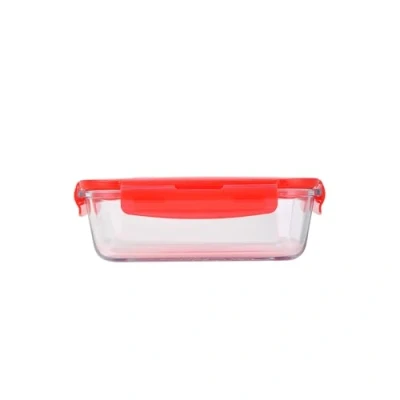 Imagen de San Ignacio Hermético rectangular 640ml high borosilicate glass magna