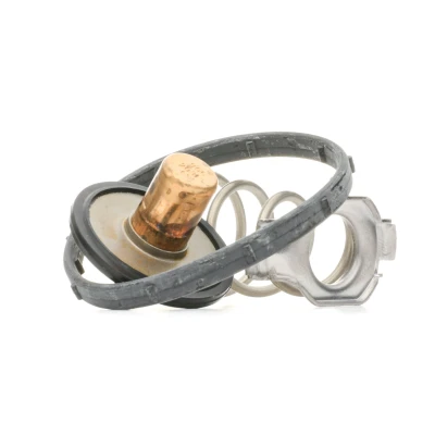 Imagen de Termostato, refrigerante MOTORAD 724 95K