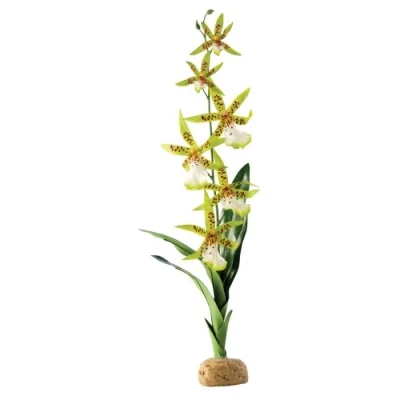 Imagen de Exo Terra Araña Orquídea