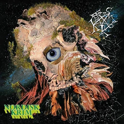 Imagen de Nordisk krim