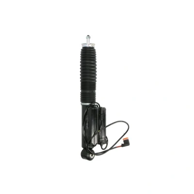 Imagen de BILSTEIN B4 OE Replacement (Air) 26 220055 Amortiguador MERCEDES BENZ: Clase E T modell