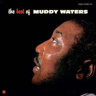 Imagen de The Best Of Muddy Waters Vinilo