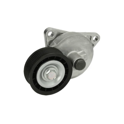 Imagen de PETERS ENNEPETAL 010.790 00A Tensor de Correa