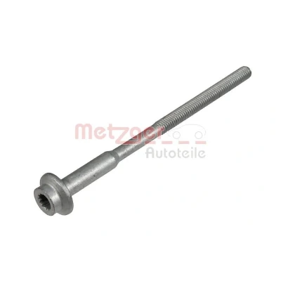 Imagen de METZGER 0873032 Tornillo, soporte inyector SEAT: Ibiza 4 ST, 4, Sportcoupe, VOLKSWAGEN: Polo V Hatchback, SKODA: Fabia 2