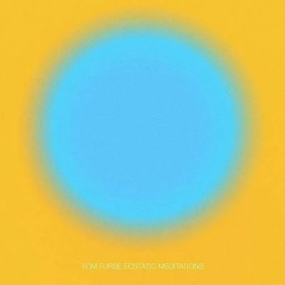 Imagen de Ecstatic Meditations [Vinilo]