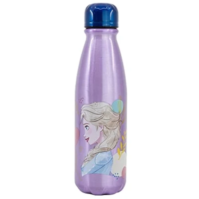 Imagen de Botella de agua reutilizable aluminio infantil 600 ml Frozen