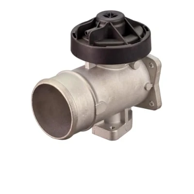 Imagen de DELPHI EG10634 12B1 Válvula EGR con juntas, sin radiator