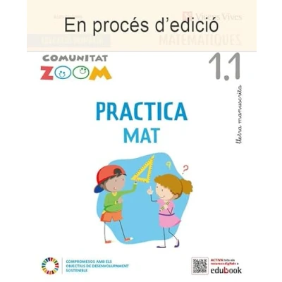 Imagen de PRACTICAMAT 1 TRIM ACT MS IB (COMUNITAT ZOOM) 9788468283142 (COMUNIDAD