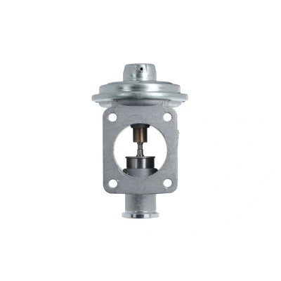 Imagen de VALEO 703239 válvula EGR neumático sin radiator EGR, con juntas BMW: 1 Hatchback, 3 Touring, X3